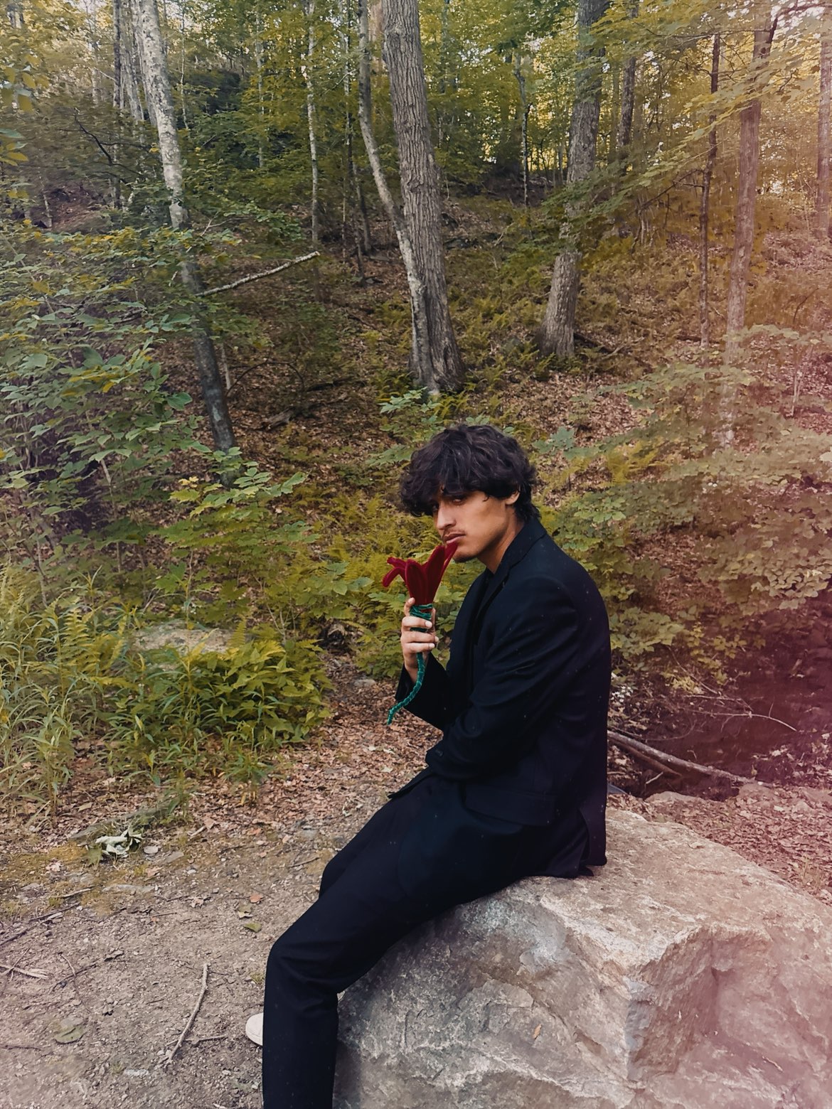 Anthony D'Antonio — QUEEN visual