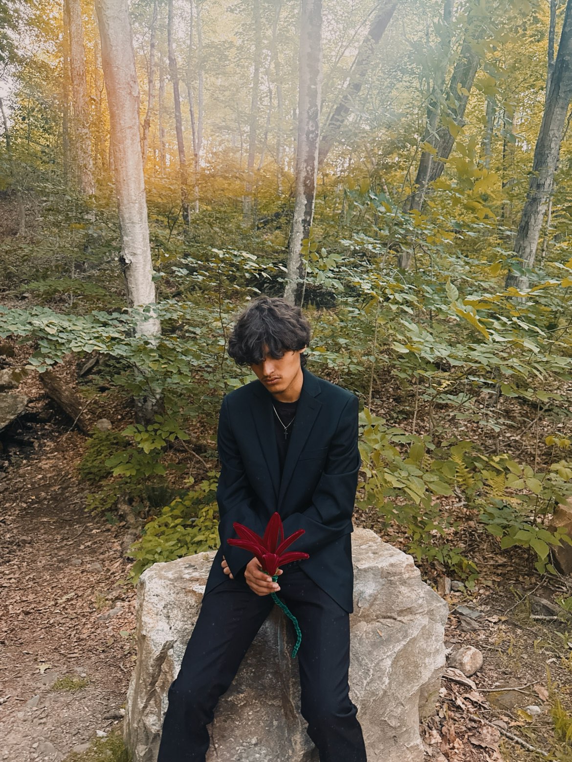 Anthony D'Antonio — QUEEN